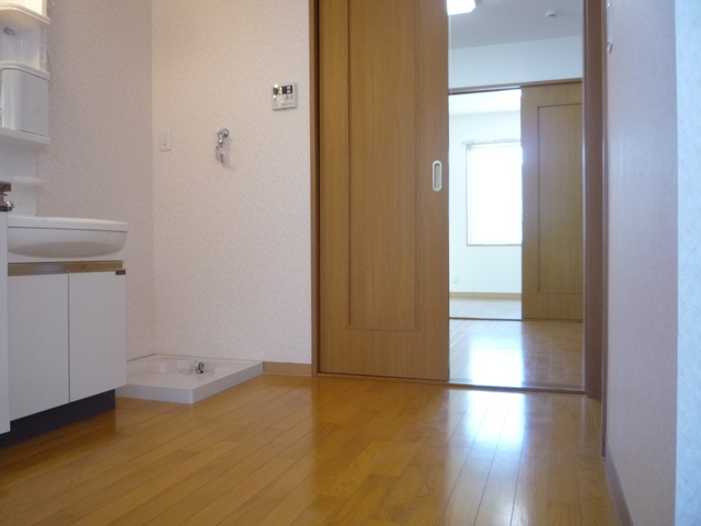 Other room space. Dressing room