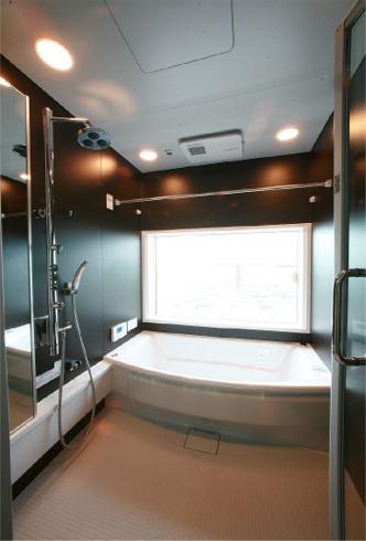 Bathroom. Indoor (June 2012) shooting