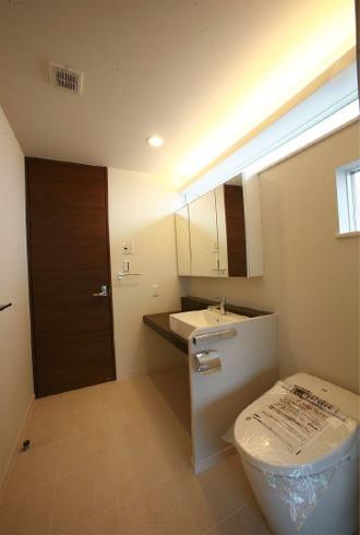 Wash basin, toilet. Indoor (June 2012) shooting