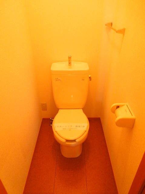 Toilet. Western-style toilet! 