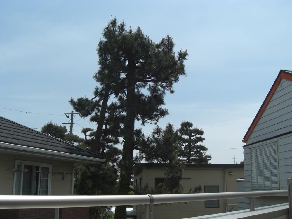 View photos from the dwelling unit. View from local (May 2013) Shooting