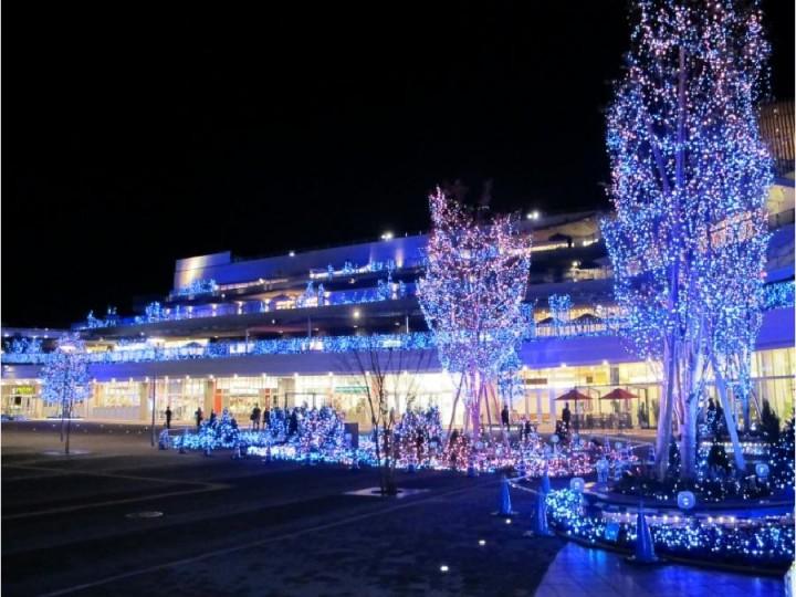 Other Environmental Photo. 640m to Terrace Mall Shonan Illumination