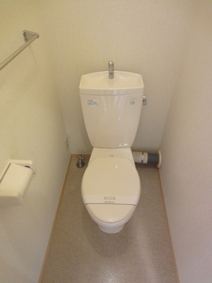 Toilet. Toilet