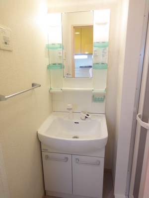 Washroom. Bathroom Vanity