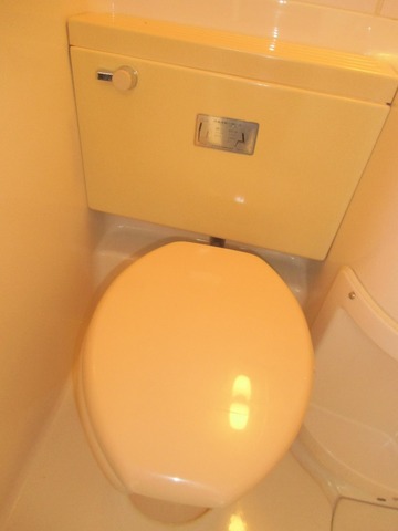 Other room space. Toilet