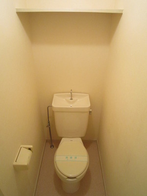 Toilet. Toilet with a shelf at the top. (Current state priority)