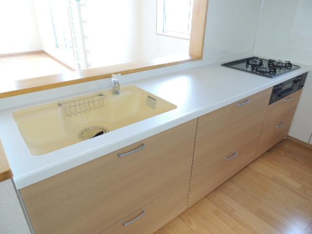 Kitchen. Indoor (11 May 2013) Shooting