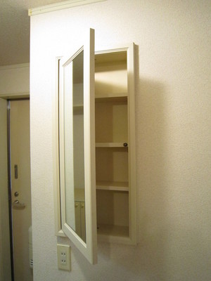 Other. Mirror back has become the storage
