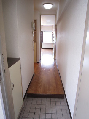 Entrance. There is a shoe box