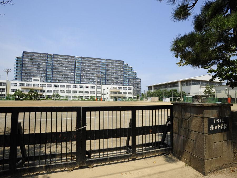 Junior high school. Chigasaki until municipal Umeda Junior High School 500m