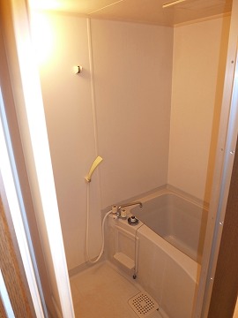 Bath. A similar type separate room photo