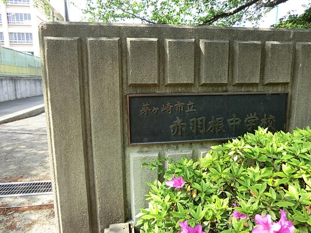 Junior high school. Akabane 1800m until junior high school