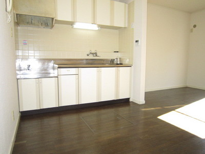 Kitchen. Put the gas stove of your choice