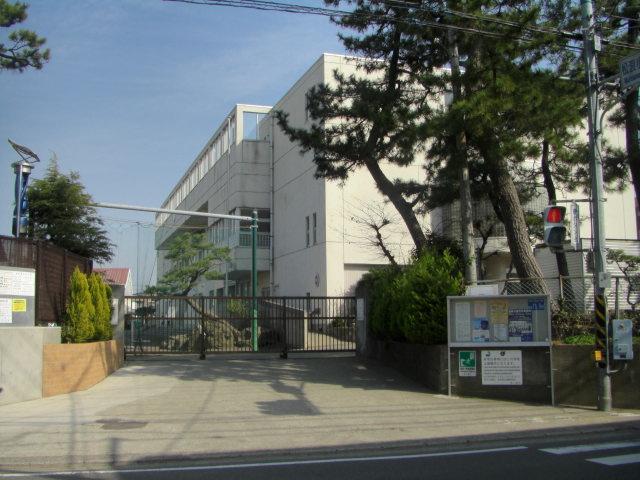 Primary school. Matsunami elementary school