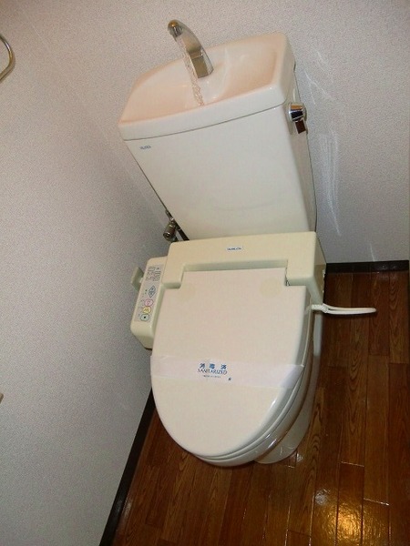 Toilet