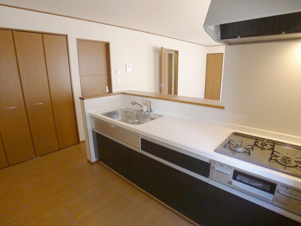 Kitchen. Indoor (10 May 2013) Shooting