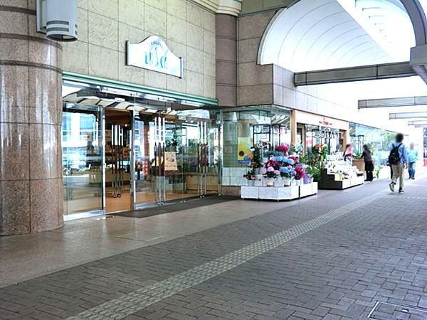Shopping centre. Station building Chigasaki Alaska