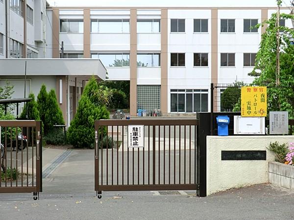Primary school. Yanagijima elementary school