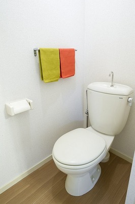 Toilet. Furniture does not have to actually. 