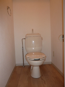 Toilet. Toilet