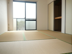 Living and room. room