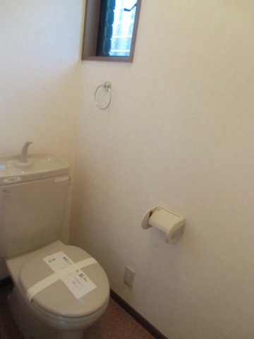 Other room space. There is a window in the toilet