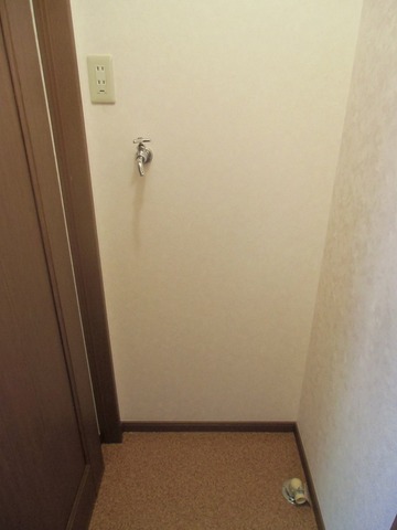 Other room space. Washing machine in the room