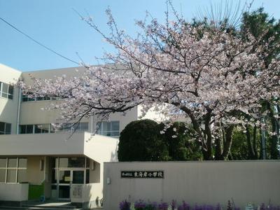 Primary school. Chigasaki 413m to City East Coast Elementary School