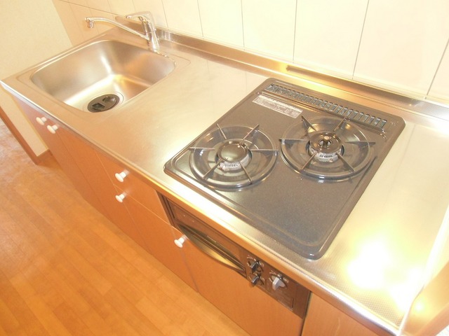Kitchen. 2 lot gas stoves of the system kitchen