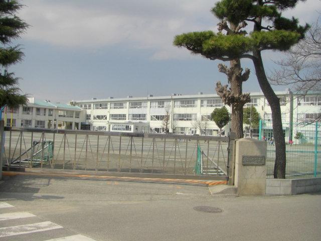 Primary school. Pine forest elementary school