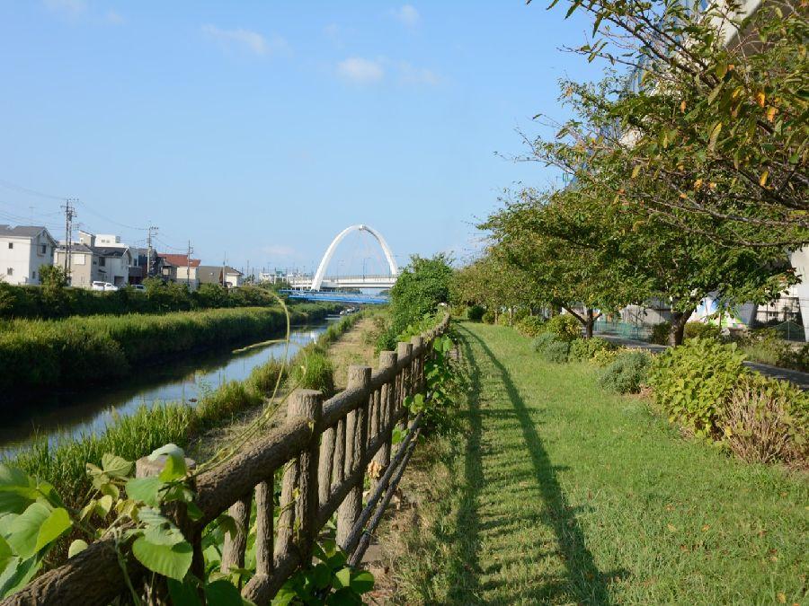 park. Shonan dream 2000m to exciting park