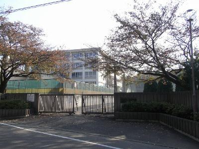Junior high school. Akabane 1500m until junior high school