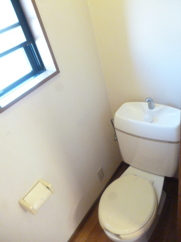 Other room space. Bright toilet