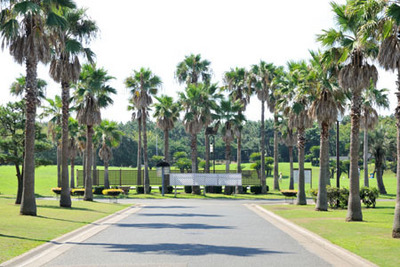 park. 2000m until Tsujido Seaside Park (park)