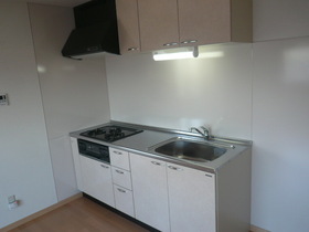 Kitchen. System Kitchen (3-neck is with a grill)