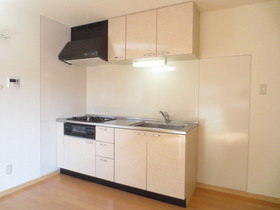 Kitchen. System kitchen (two-burner stove)