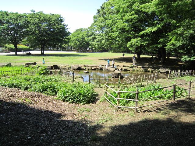 park. Central park