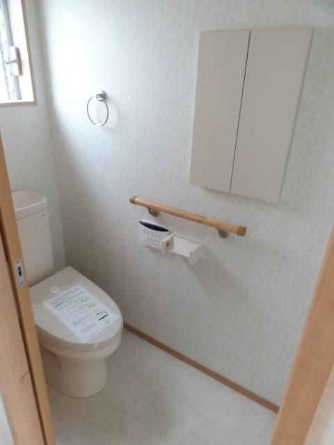 Toilet. Indoor (07 May 2013) Shooting