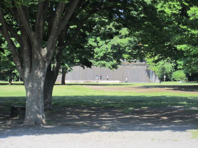 park. Chigasaki Central Park