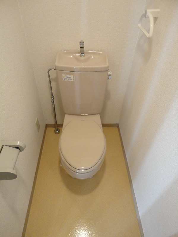 Toilet. Toilet