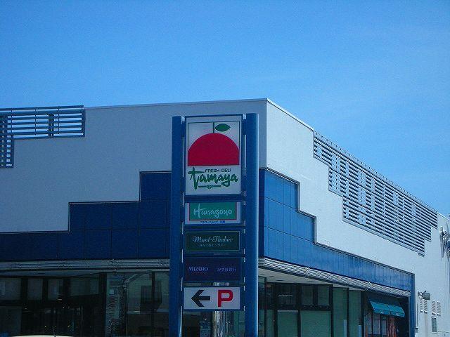 Supermarket. Tama and Hamatake shop