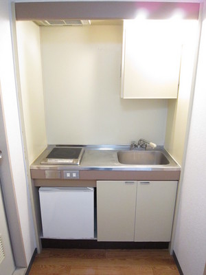 Kitchen. Stove with a kitchen