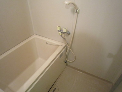 Bath. Bathroom with a shower. (Current state priority)