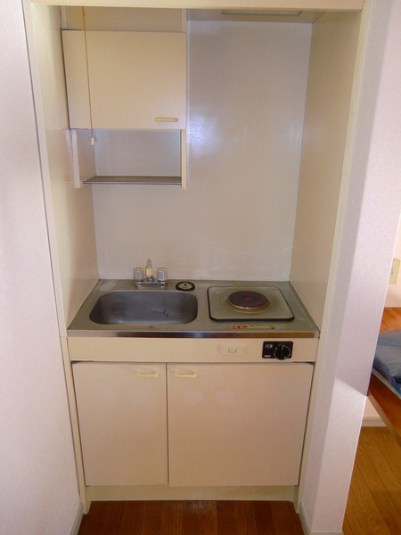 Kitchen. Compact kitchen