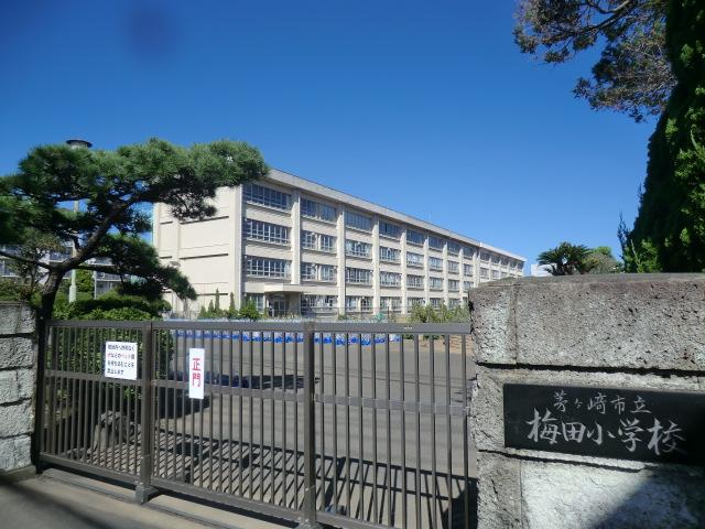 Primary school. Umeda elementary school 5 minutes walk (about 390m)