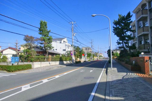 Local photos, including front road