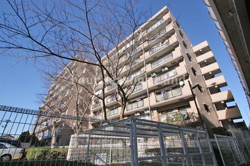 Local appearance photo. Local (January 2013) Shooting