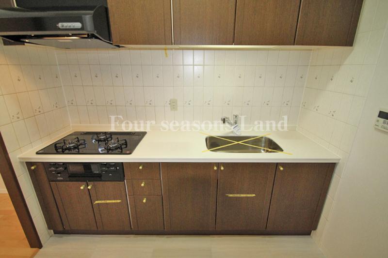 Kitchen. Indoor (12 May 2013) Shooting