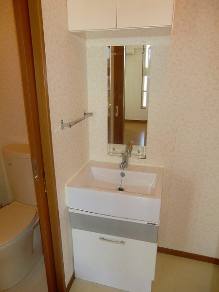 Washroom. Individualistic washbasin