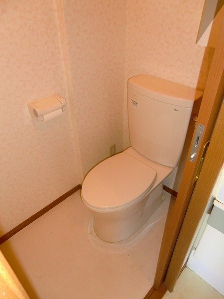 Toilet. Space of the room